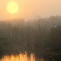 Sunrise in the Everglades