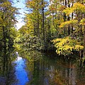 Sweetwater Strand - 3