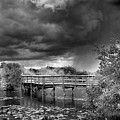 Everglades 0823BW