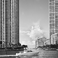 Miami river RL071901